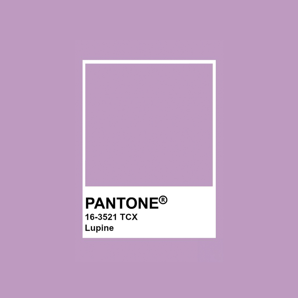 Pantone 秋冬Top 3色！小資女必入手Under $1,000手袋/服飾